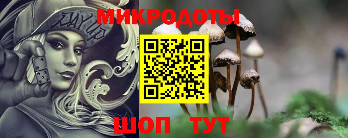 Псилоцибиновые грибы Psilocybine cubensis Котовск